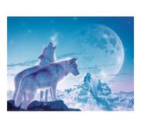Puzzle Adulte Hurlements De Loups Arctiques Dans La Montagne Au Clair De Lune - 1500 Pieces - Collection Animaux