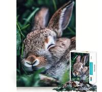 Puzzle Adulte Lapin endormi dans l'herbe, 1000 pièces, renforce la mémoire, Calme et apaisant, œuvre d'art aux Bords Nets 38x52cm
