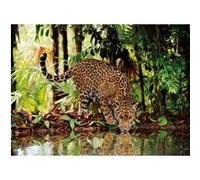 Puzzle adulte - le leopard dans la jungle - 2000 pieces - collection animaux sauvages - clementoni G