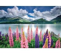 Puzzle Adulte : Paysage Suisse : lupins sur Les rives du lac de SILS - 1500 Pieces - Set Collection Montagne + 1 Carte Tigre
