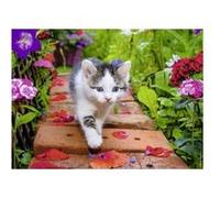 Puzzle adulte : petit chat en balade dans le jardin - 500 pieces - nathan collection animaux - chaton G