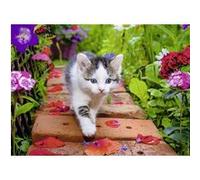Puzzle adulte : petit chat en balade dans le jardin - 500 pieces - nathan collection animaux - chaton G