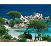 Puzzle Adulte Plage de palombaggia - 1000 Pieces - Set Collection Porto-Vecchio en Corse + 1 Carte Tigre