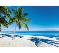 Puzzle Adulte Plage paradisiaques avec Palmiers - 1000 Pieces - Set Collection mer et Paysage et Carte Tigre