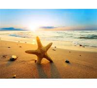 Puzzle Adulte Puzzle 1000 pièces Étoile de mer de Plage Puzzles Adultes à partir de 14 Ans Puzzles de Famille