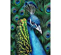 Puzzle Adulte Puzzle 1000 pièces Paon Animal Puzzles Adultes à partir de 14 Ans Puzzles de Famille