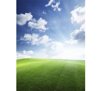 Puzzle Adulte Puzzle 1000 pièces Paysage de Printemps Puzzles Adultes à partir de 14 Ans Puzzles de Famille