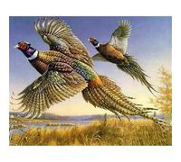 Puzzle Adulte Puzzle 1500 pièces Canard Sauvage Puzzles Adultes à partir de 14 Ans Puzzles de Famille