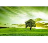 Puzzle Adulte - Puzzles 1500 pièces - Arbre du Champ Vert - DIY Puzzles,Décoration Familiale,Cadeaux de Vacances Puzzle Jouet