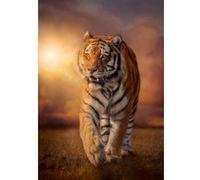 Puzzle adulte : tigre dans la savane - 1500 pieces - clementoni - collection animaux sauvages G