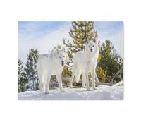 Puzzle Adultes 1000 Pièces en Bois，Deux Loups des forêts dans Un Paysage Sauvage et enneigé，Puzzle Coloré Formation Attention Patience Jouets Logique Mémoire Défi（75x50cm）-T67