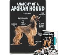 Puzzle Afghan Hound Anatomy pour Adultes, 300 PCS
