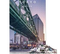 Puzzle Akihabara, Puzzle rectangulaire en Papier, Amusant pour la Famille, pour garçon ou Fille, Cadeau de Noël, fête des Enfants, 1000 pièces (75 x 50 cm)