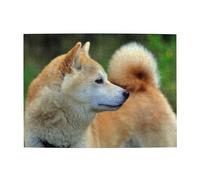 Puzzle Akita Inu Bokeh Animaux de Compagnie Chiens Akita Inu Adultes 500 pièces - Puzzle en Bois pour Adultes et Personnes âgées