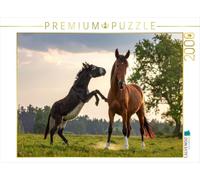 Puzzle · Allez, Viens Jouer avec Moi - L'âne et Le Cheval | 2000 pièces · Format assemblé 90 × 67 cm · CALVENDO Puzzle