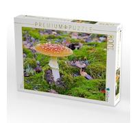 Puzzle · amanite Tue-Mouche | Un bel amanite tue-mouche dans la forêt en automne · 1000 pièces · Format assemblé 64 × 48 cm · CALVENDO Puzzle