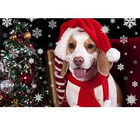 Puzzle Amusant 300 pièces Chien Beagle 38x26CM