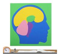 Puzzle Anatomie,Kit EVA Pour Les Expériences De Science Du Cerveau | Puzzle Modèle Du Corps Humain Bricolage,Jeu Éducatif Pour L'école Maison De Maternelle Voyage et Chambre