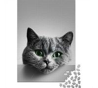 Puzzle Animaux 1000 pièces Curious Cat Portrait, 52x38cm, Loisir créatif pour Les soirées d’Hiver, idée Cadeau Noël, Anniversaire ou Nouvel an, Jeu Familial pour Amateurs d’Animaux