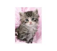 Puzzle Animaux Chat / Chatons Gris 500 Pieces - Ravensburger