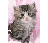 Puzzle Animaux Chat / Chatons Gris 500 Pieces - Ravensburger