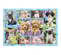 Puzzle Animaux Chiots - SCHMIDT SPIELE - 200 pièces - Enfant 8 ans et plus