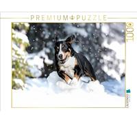 Puzzle · Appenzeller Power | Les plaisirs de la neige · 1000 pièces · Format assemblé 64 × 48 cm · CALVENDO Puzzle