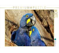 Puzzle · Ara hyacinthe (Anodorhynchus hyacinthinus | Le Brésil : un régal pour les papilles · 1000 pièces · Format assemblé 64 × 48 cm · CALVENDO Puzzle