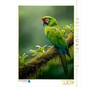 Puzzle · Ara Soldat - Le joyau Vert de la forêt Tropicale | Élégance tropicale · 1000 pièces · Format assemblé 64 × 48 cm · CALVENDO Puzzle