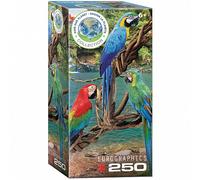 Puzzle - Aras - 250 Pièces