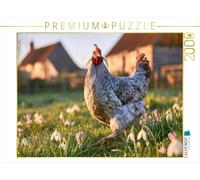 Puzzle · Araucana, Un Souffle de Printemps dans Son Plumage | 2000 pièces · Format assemblé 90 × 67 cm · CALVENDO Puzzle