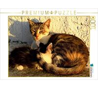 Puzzle · Astrid allaite tendrement Son Petit sous Le Soleil couchant | Gros plan sur une adorable maman chat · 1000 pièces · Format assemblé 64 × 48 cm · CALVENDO Puzzle