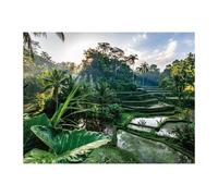 Nathan Puzzle 2000 pièces Au cœur de Bali – Adultes et enfants dès 14 ans – Encastrement parfait