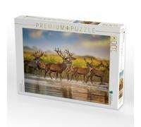 Puzzle · Augenblick der Stille | Hirsche · 1000 pièces · Format assemblé 64 × 48 cm · CALVENDO Puzzle