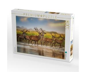 Puzzle · Augenblick der Stille | Hirsche · 1000 pièces · Format assemblé 64 × 48 cm · CALVENDO Puzzle