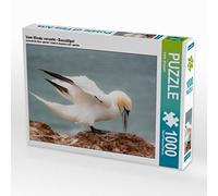 Puzzle · Autant en emporte Le de Bassan | 1000 pièces · Format assemblé 64 × 48 cm · CALVENDO Puzzle