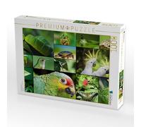 Puzzle · Aventure dans la Jungle | 1000 pièces · Format assemblé 64 × 48 cm · CALVENDO Puzzle