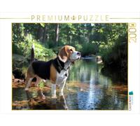 Puzzle · Beagle - À la découverte de la forêt | Sur les traces de l'aventure · 2000 pièces · Format assemblé 90 × 67 cm · CALVENDO Puzzle