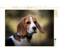 Puzzle · Beagle-Portrait | 1000 pièces · Format assemblé 64 × 48 cm · CALVENDO Puzzle