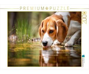 Puzzle · Beagle - Un Chien au Nez Fin et assoiffé | Petite pause au bord de l'eau · 2000 pièces · Format assemblé 90 × 67 cm · CALVENDO Puzzle