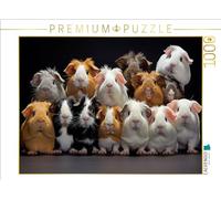 Puzzle · Beaucoup de cochons d'Inde Les UNS sur Les Autres | 1000 pièces · Format assemblé 64 × 48 cm · CALVENDO Puzzle