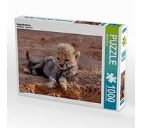 Puzzle · bébé guépard | 1000 pièces · Format assemblé 64 × 48 cm · CALVENDO Puzzle