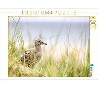 Puzzle · bébé Mouette | poussins de mouettes argentées · 1000 pièces · Format assemblé 64 × 48 cm · CALVENDO Puzzle
