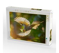 Puzzle · Beleuchteter Flug eines Nymphensittichs | 1000 pièces · Format assemblé 64 × 48 cm · CALVENDO Puzzle