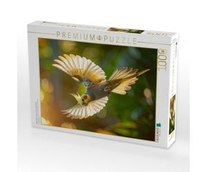 Puzzle · Beleuchteter Flug eines Nymphensittichs | 1000 pièces · Format assemblé 64 × 48 cm · CALVENDO Puzzle