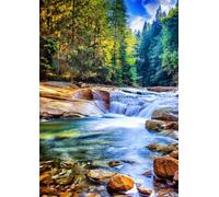 Grafika - Belle Cascade dans la Forêt, Puzzle 2000 Pièces - Nature & Forêt - Rivière et Paysage Sylvestre - Puzzle Adulte - Fabriqué en France