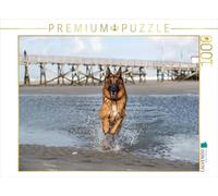 Puzzle · Berger Allemand à Sankt Peter-Ording | Un berger allemand traverse une prairie · 1000 pièces · Format assemblé 64 × 48 cm · CALVENDO Puzzle