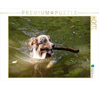 Puzzle · Berger Australien | Chien de berger nageur · 1000 pièces · Format assemblé 64 × 48 cm · CALVENDO Puzzle
