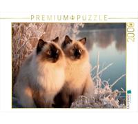 Puzzle · Birmanie sacrée - Instants Magiques d' ER | Ensemble au bord du lac, à la lueur de l'aube · 2000 pièces · Format assemblé 90 × 67 cm · CALVENDO Puzzle