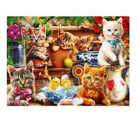 Puzzle - Bluebird - Kittens in the Potting Shed - 3000 pièces - Animaux - Intérieur
